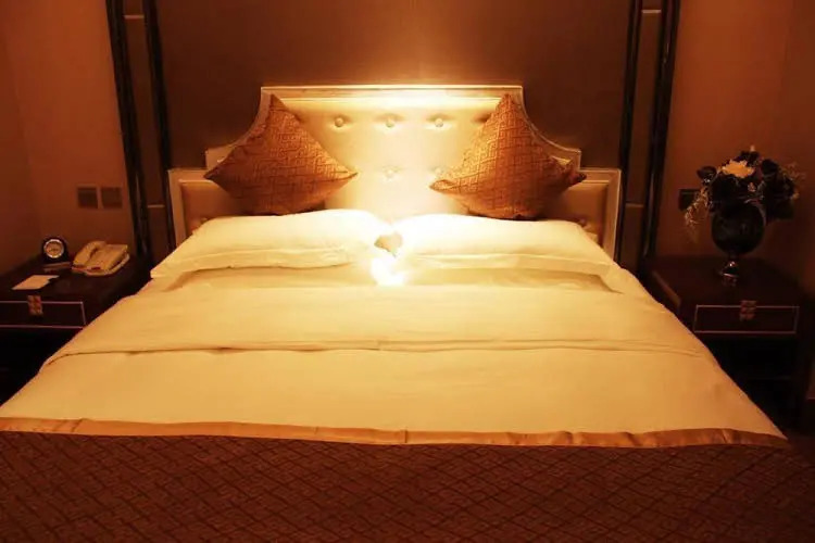 Cannes Holiday Inn Hotel