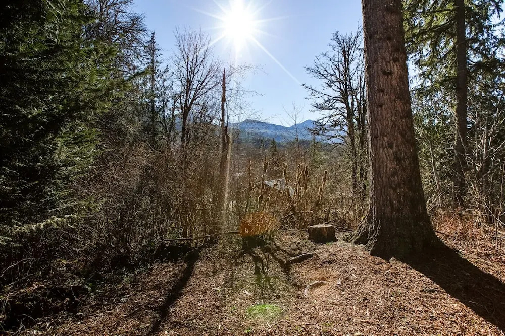 44MBR - Hot Tub- Pets Ok - WiFi - BBQ - Sleeps 6