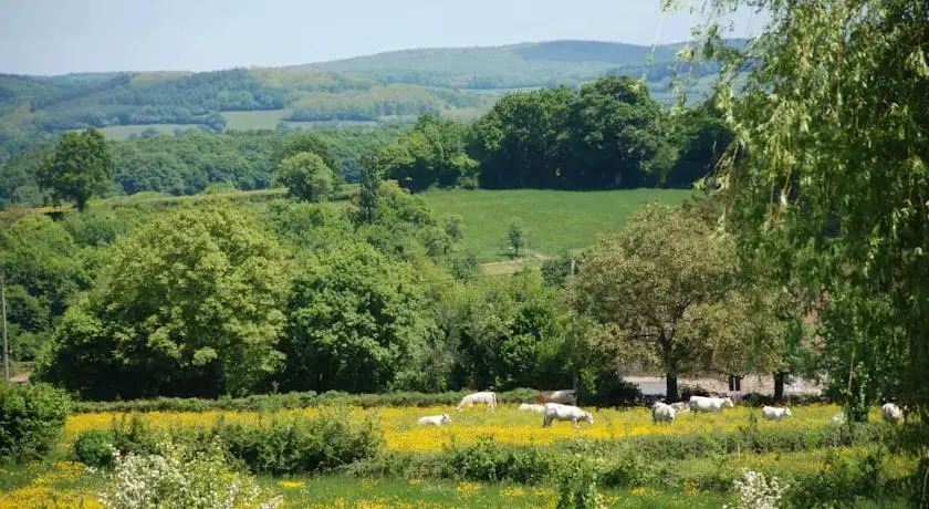Chez Charolais