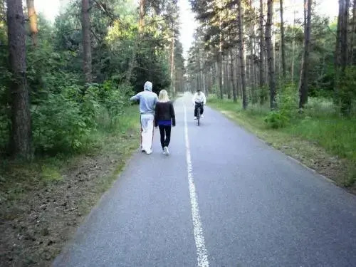 Pajurio Vieskelis
