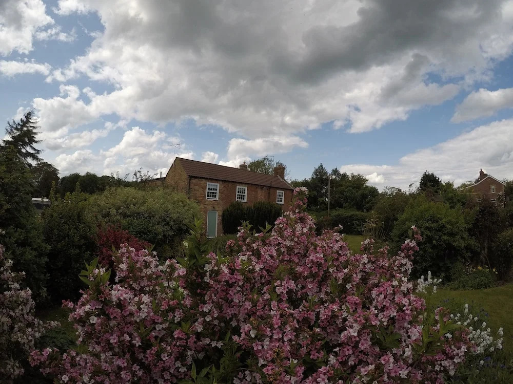 The Vine B & B
