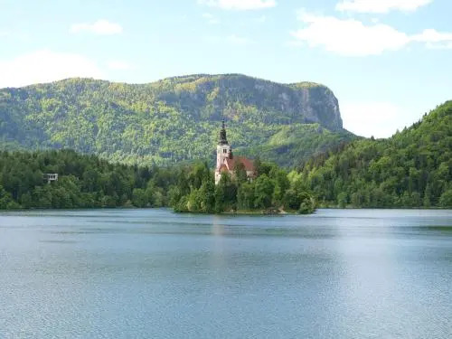 Kunstelj Pension