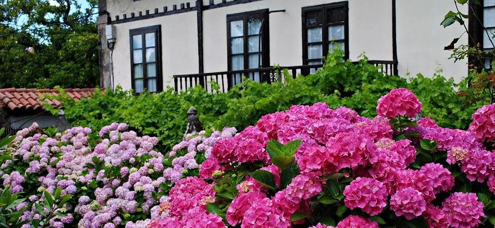 Hosteria De Quijas