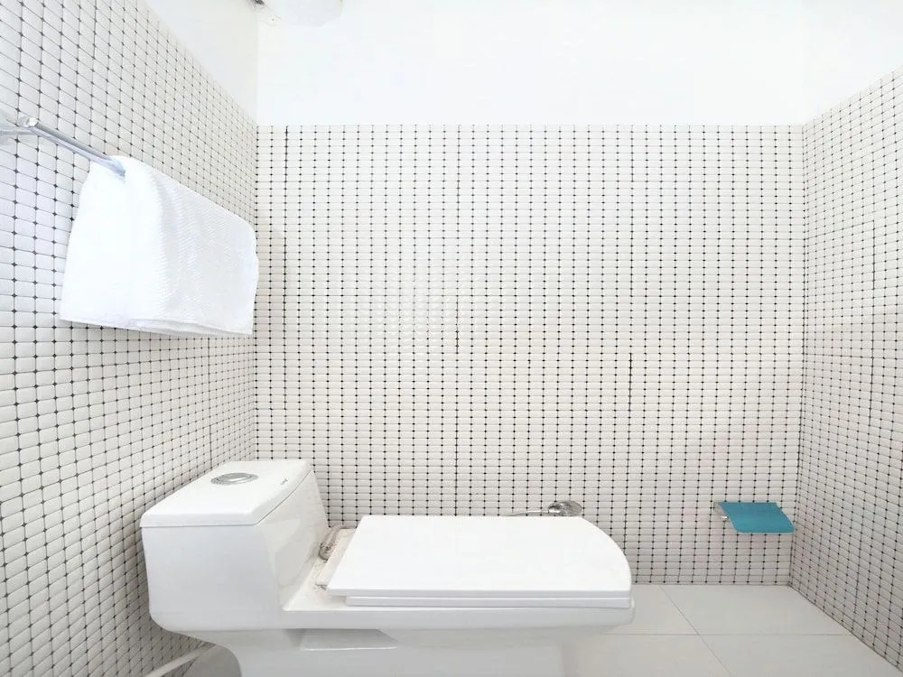OYO 12379 Hotel Riyasat