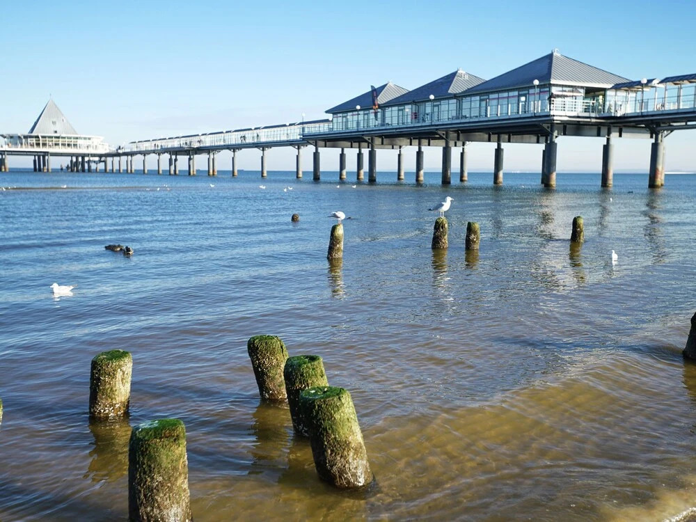 Classic Apartment in Benz Germany on the Island of Usedom