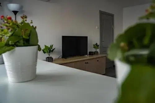 Modern 1 Bedroom Apartment In Bucharest Center!