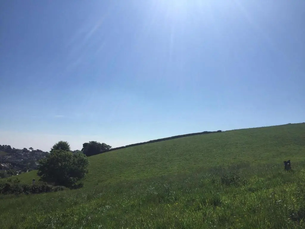 Manor Farm