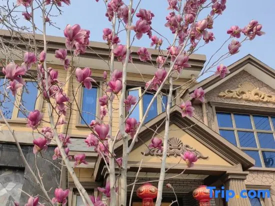 Shuianxiangju Boutique Homestay