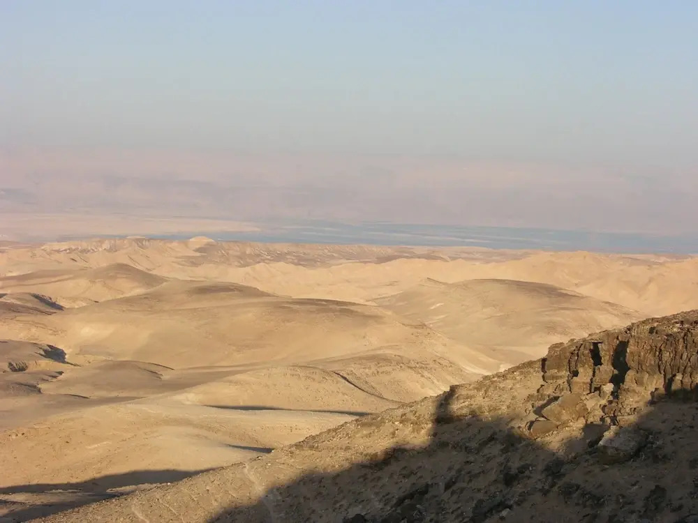 Desert View