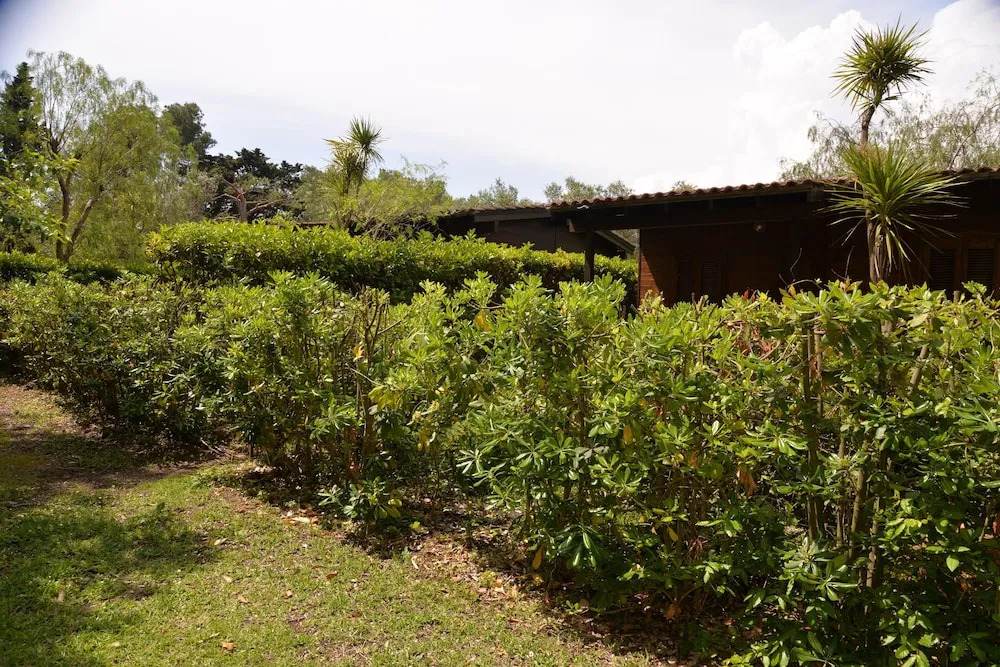 Agriturismo Alimini