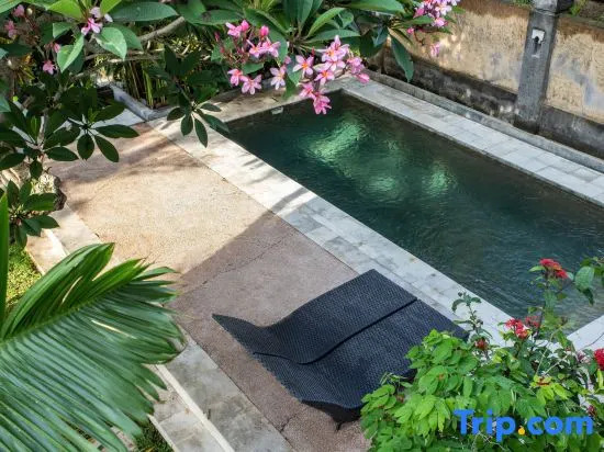 2BR DELUXE STUDIO+private pool in 75 from surfspot