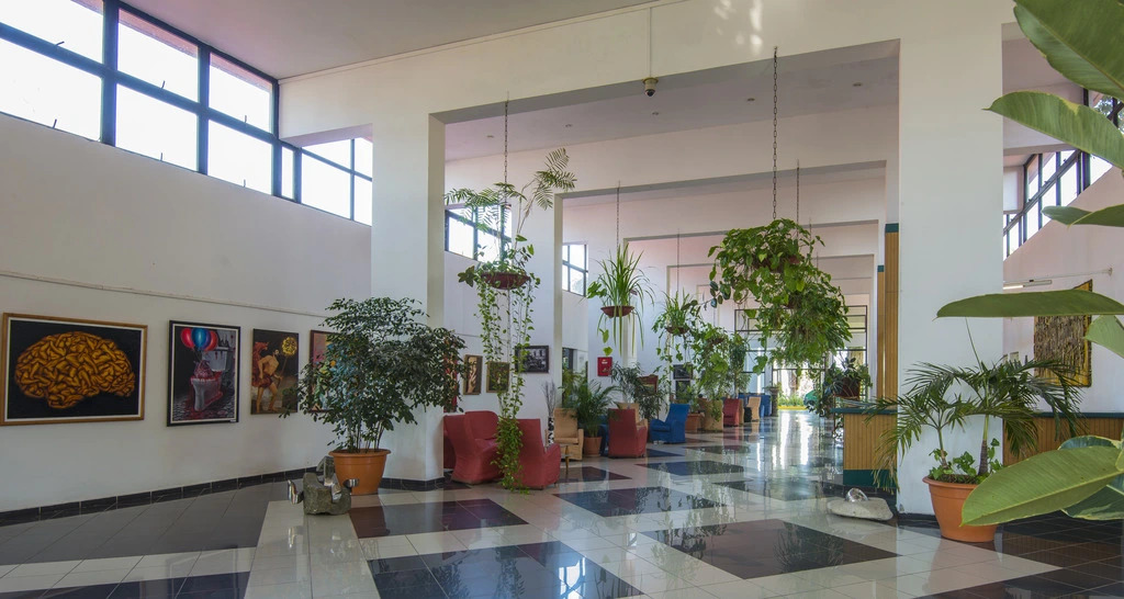 Hotel Jagua, Affiliated by Meliá