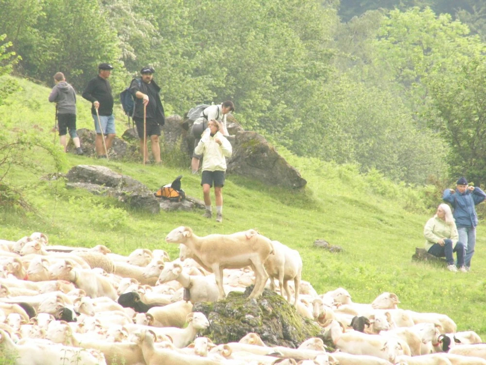 Gite Auberge Les Cascades