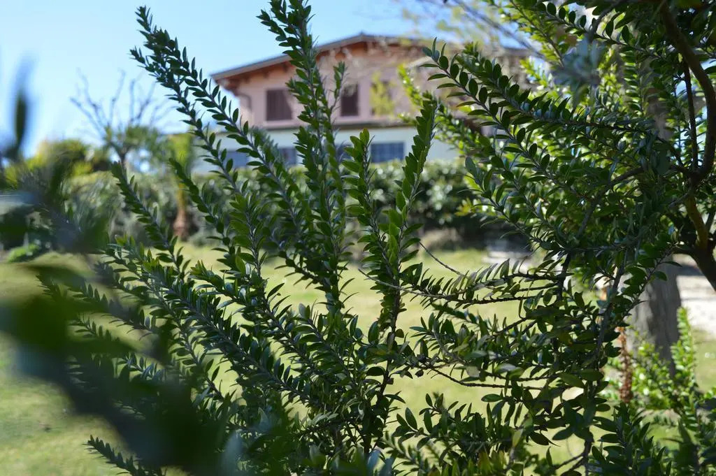 Country House Il Papavero Rosso