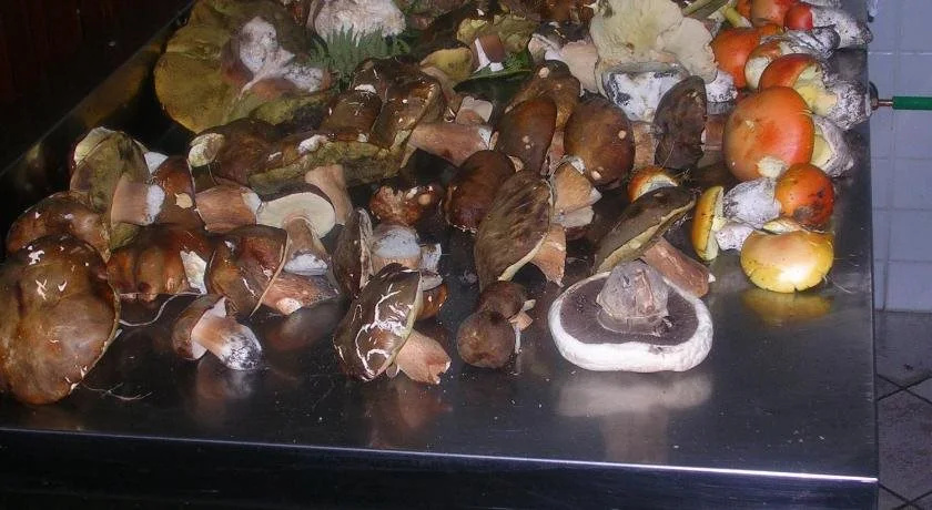 Sas Abbilas