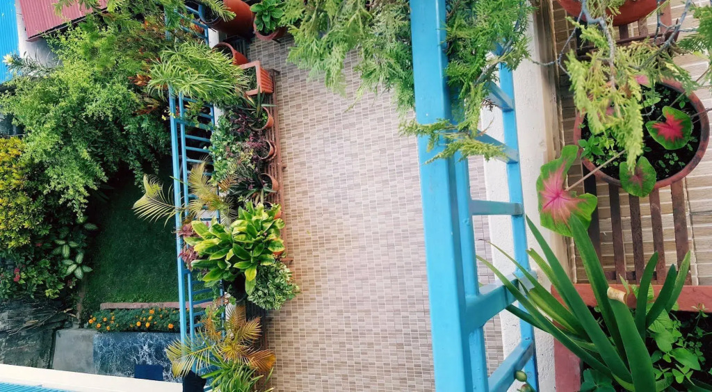 Nanohana Lodge