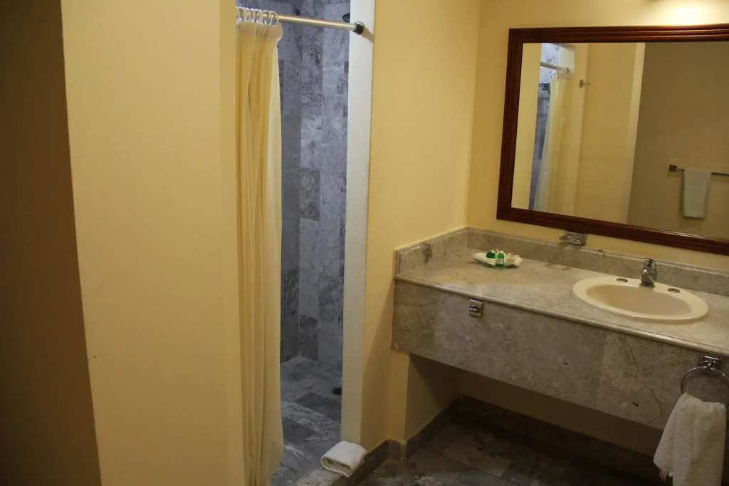 Hotel Tehuacan Plaza