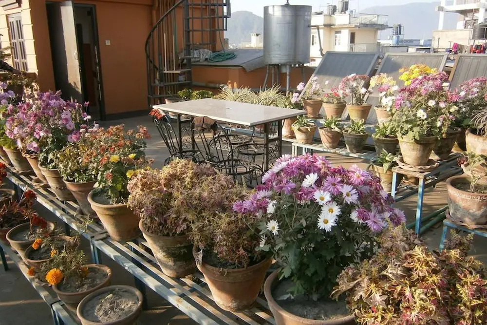 Nepal Apartment