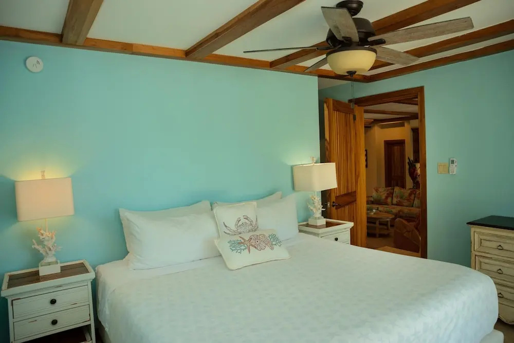 Surfside Gecko - Large Oceanfront Villa with Pool Close to Village