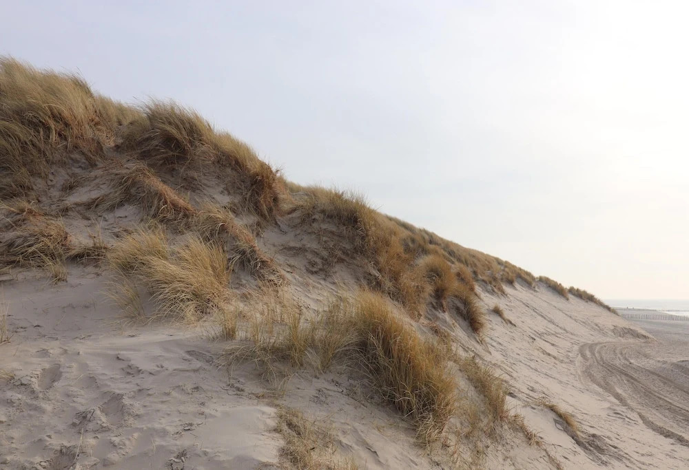 Nice Chalet in Hollum Near Dunes