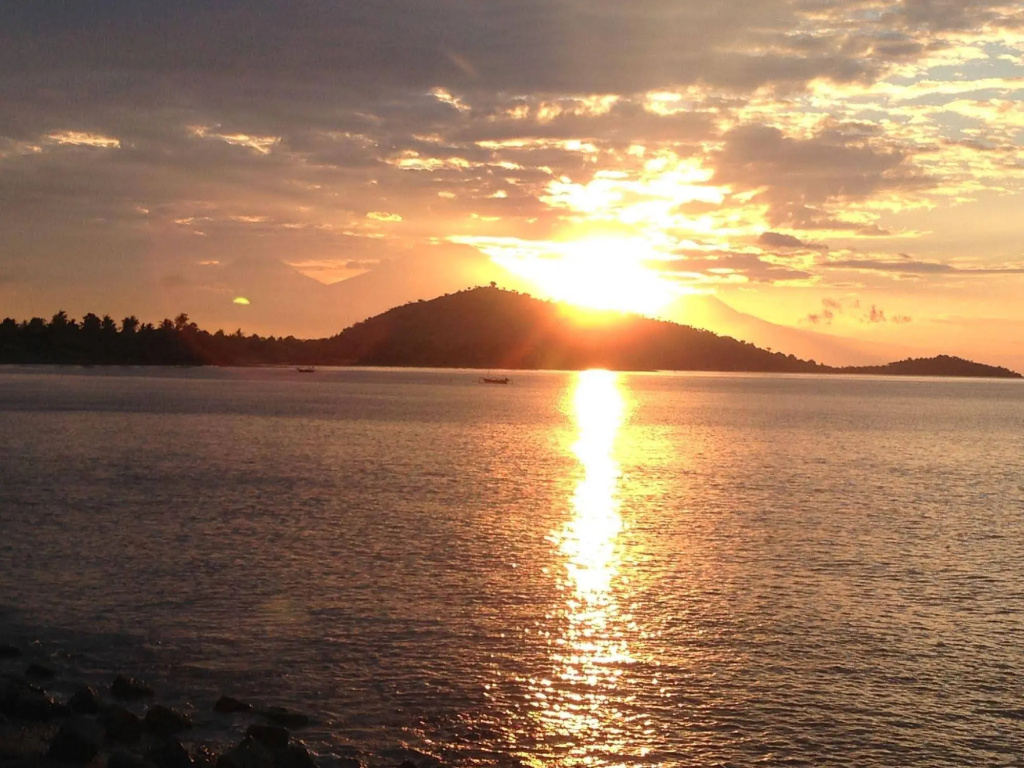 Biorock Homestay & Dive Center Pemuteran