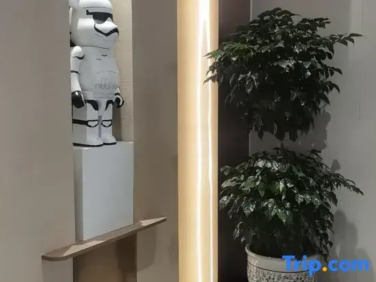 XiYaGe