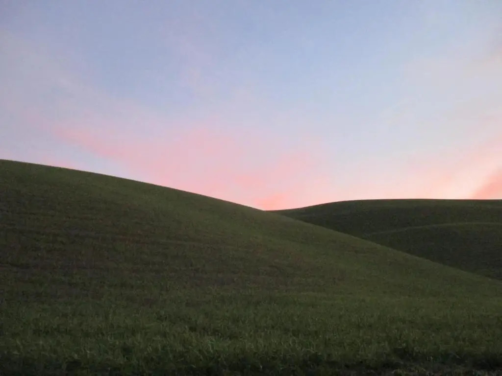 Podere Pian dei Gelsi