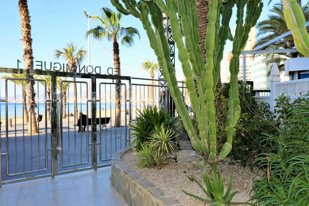 Apartamento Don Miguel 1 18-A