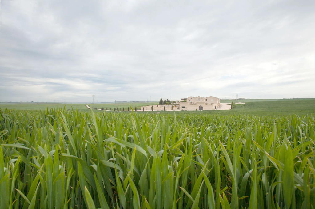 Tenuta Danesi - Camere - Appartamenti - Bubble Room
