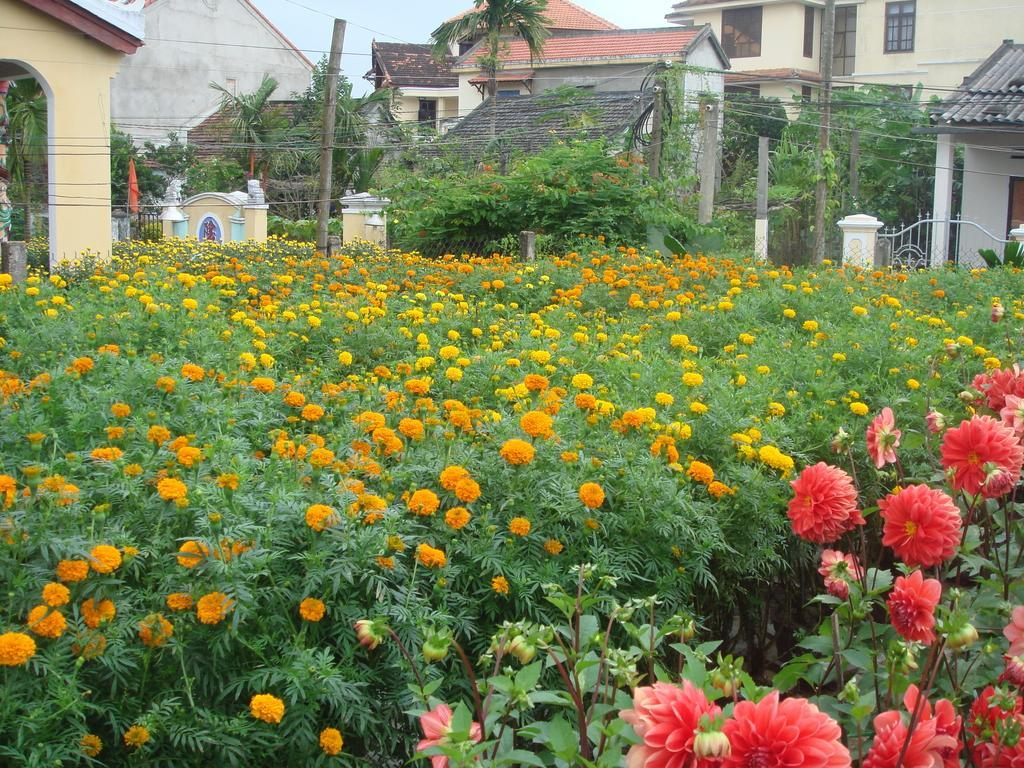 Ms Tri Homestay
