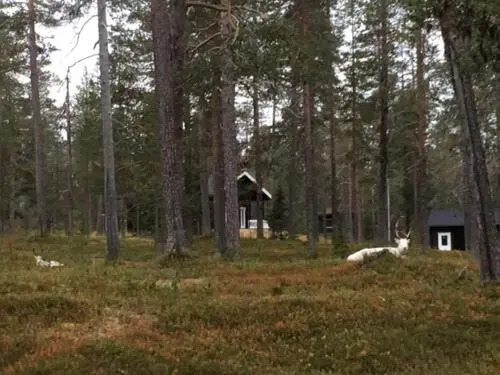 STAY Äkäslompolo Cottage