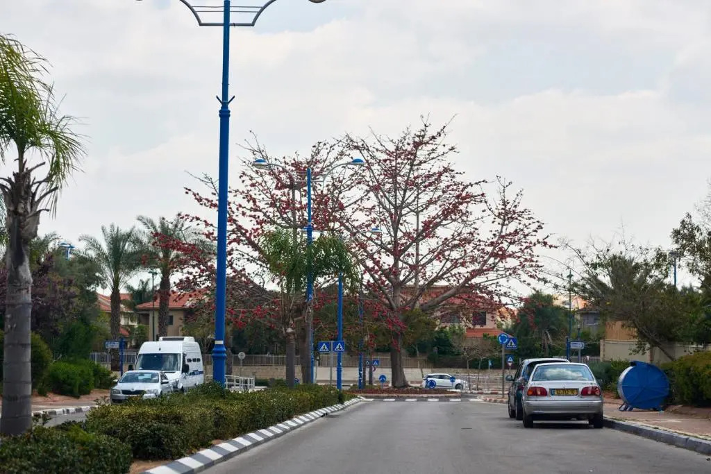 Like Home Gedera