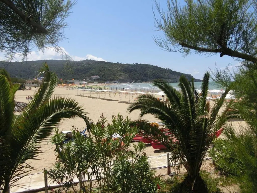 BLUS MARINE HOME a 10mt dalla SPIAGGIA
