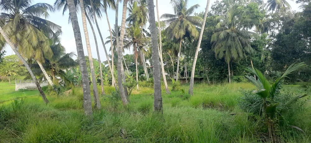 Anuradhapura Kingdom View Resort