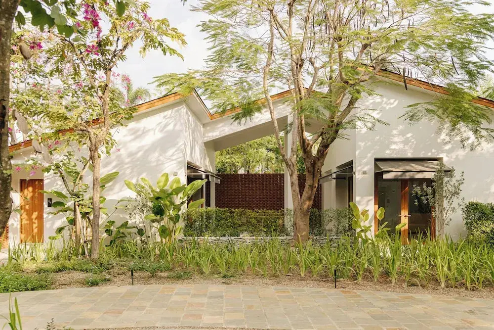 Baan phandao