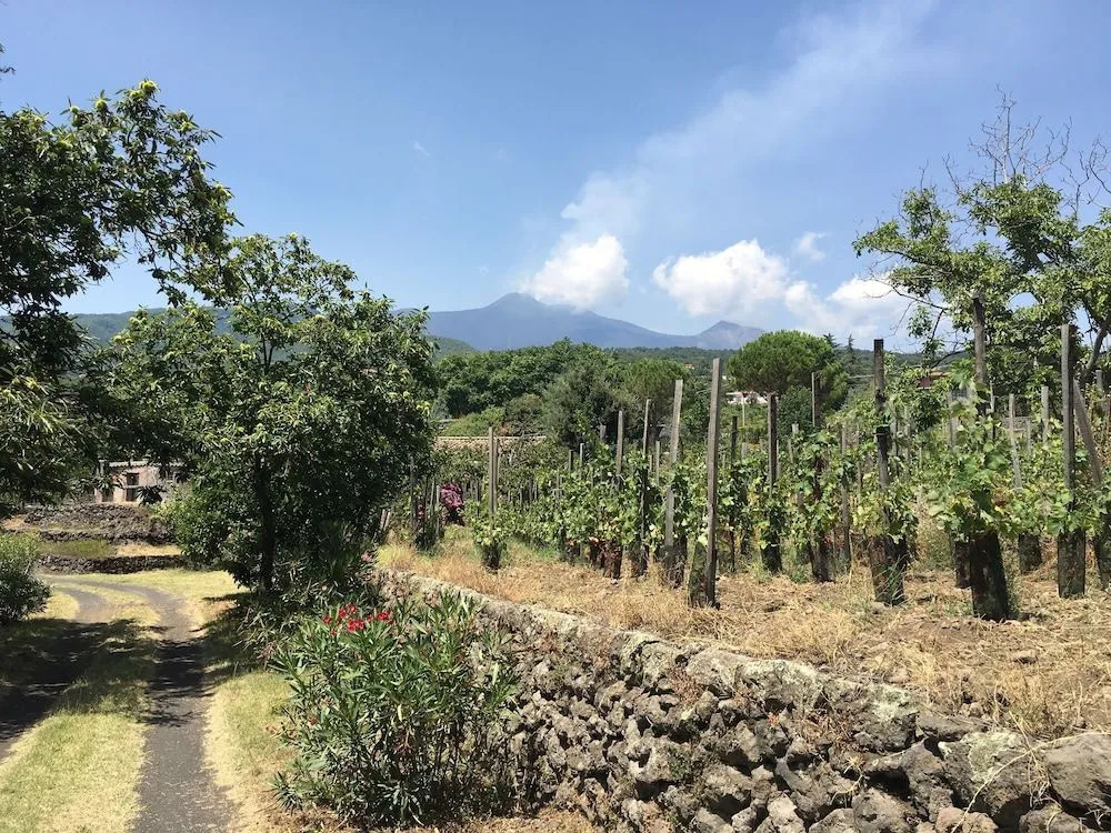 Alberto Mt Etna B&B & Holiday rentals