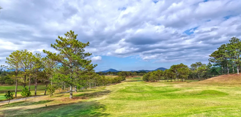 Vinh Hoa Hotel