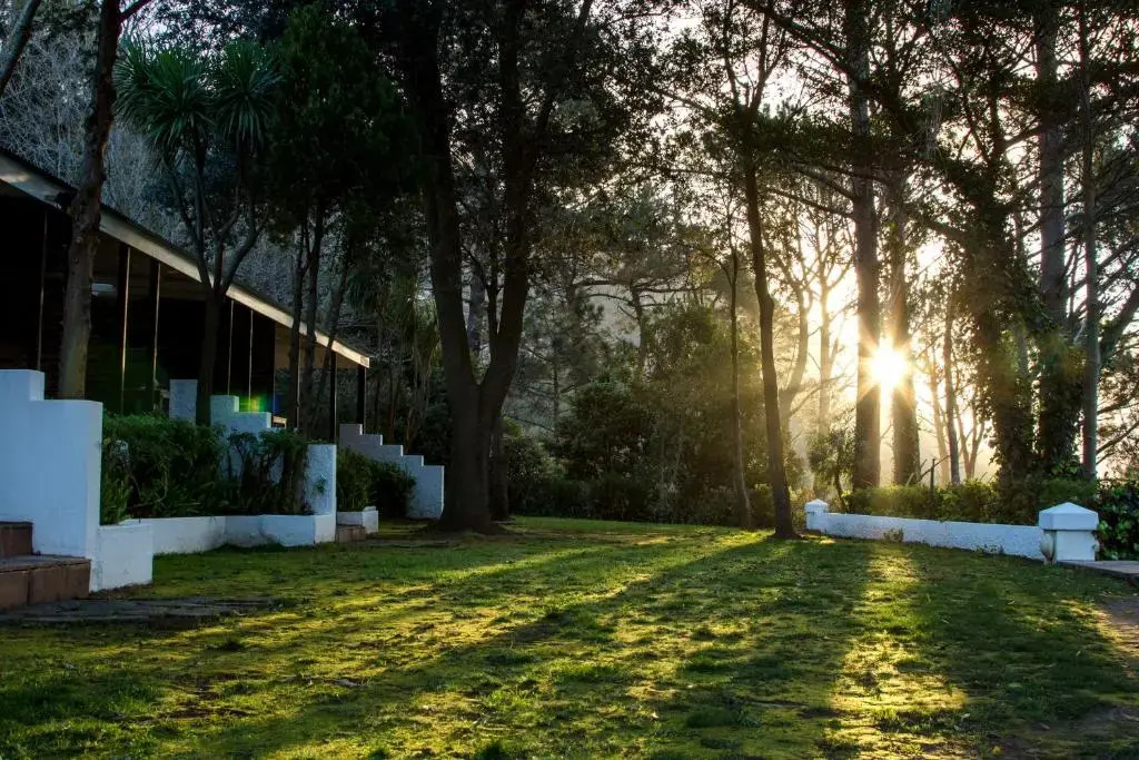Silvermist Organic Wine Estate
