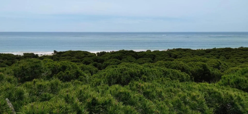 Rota Mar