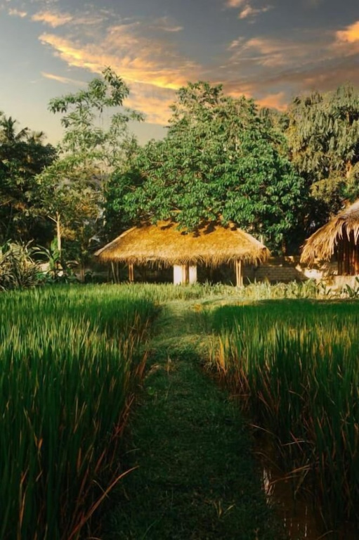vrihee resort