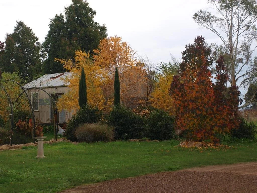 Pierrepoint Wines & Accommodation