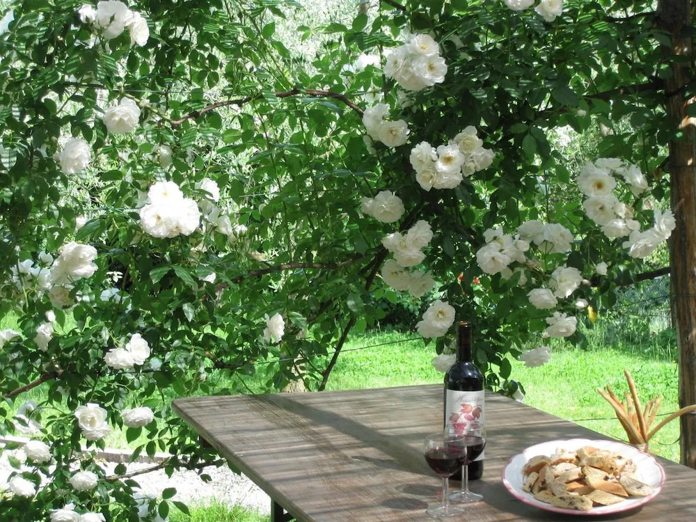 Relax sulla collina