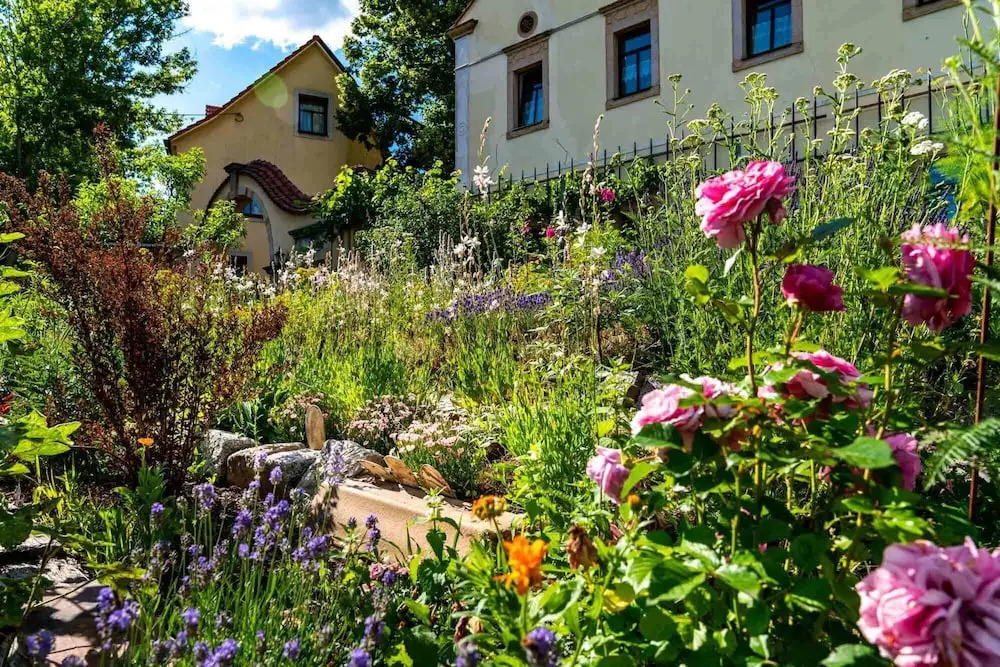 Landhotel Gut Wildberg mit Badeteich und großem Garten