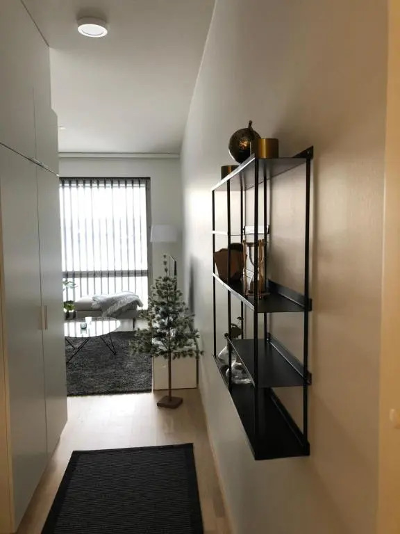 Beautiful apartment at Toppilansalmi