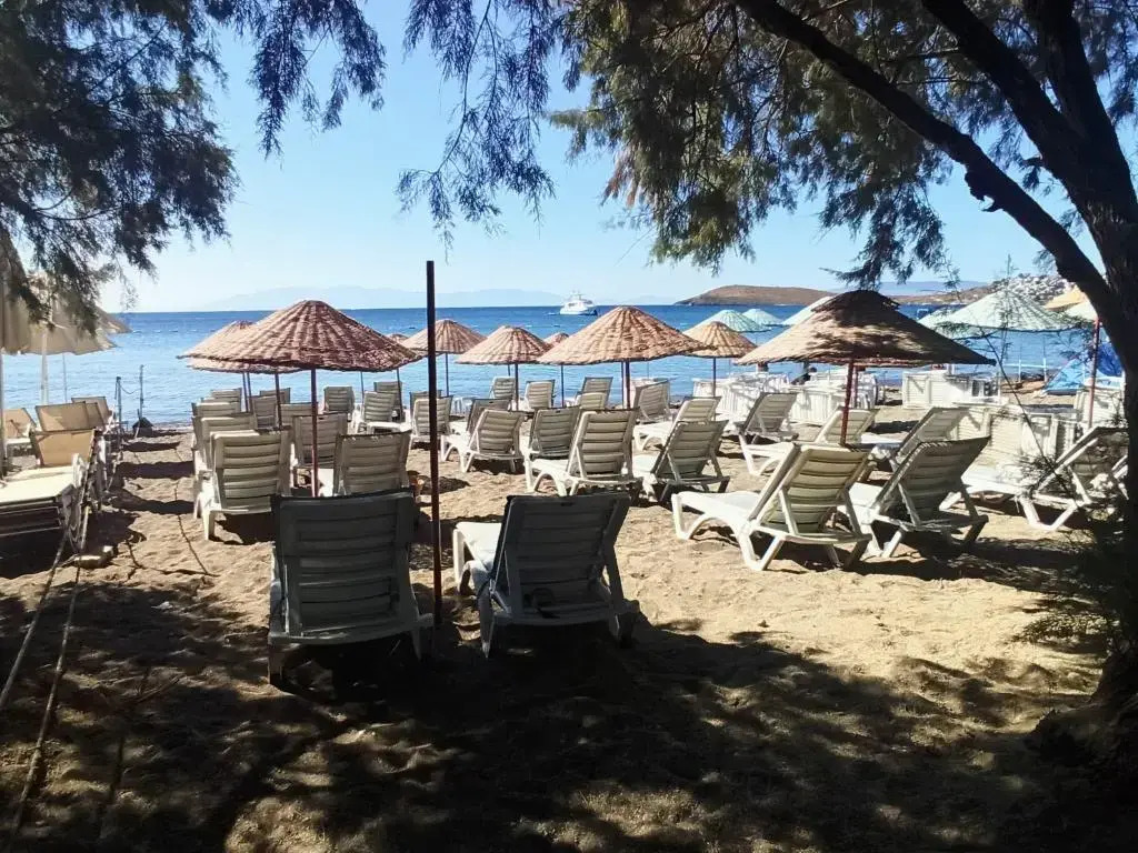 Ozgun Apart Otel
