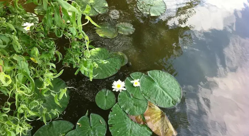 De Groote Wijzend