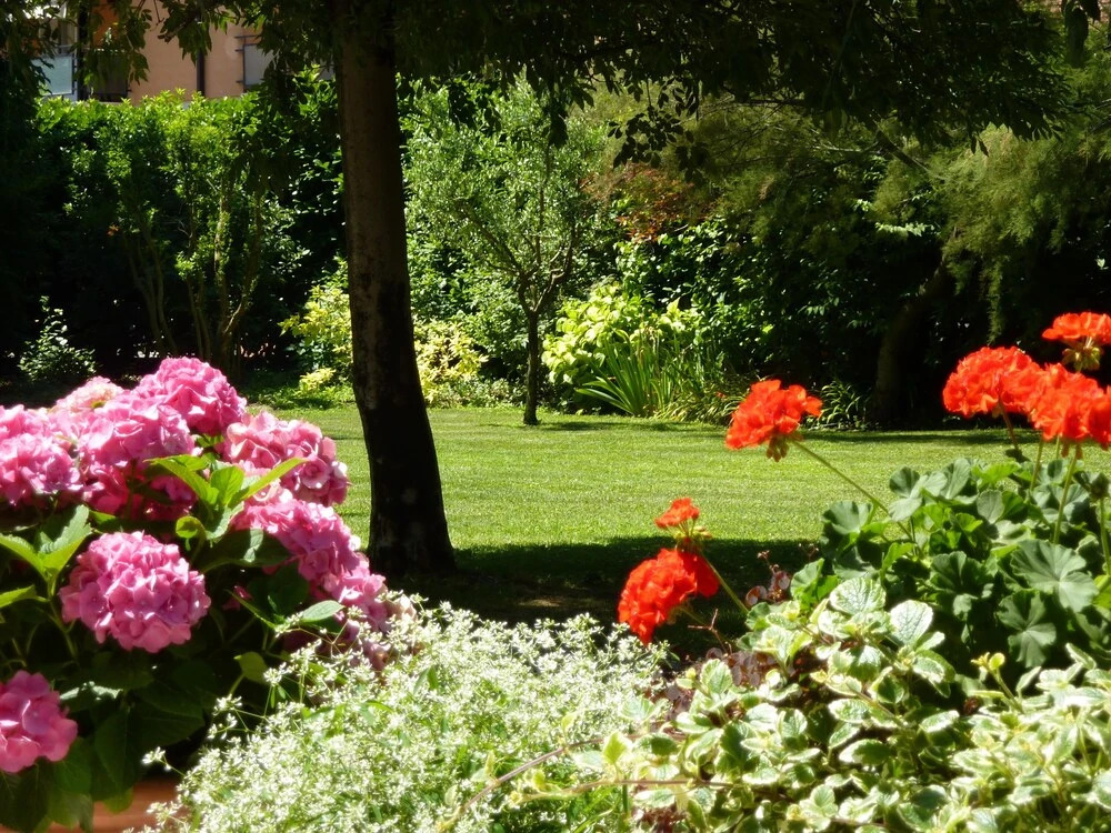 Appartamenti Il Giardino Alberato