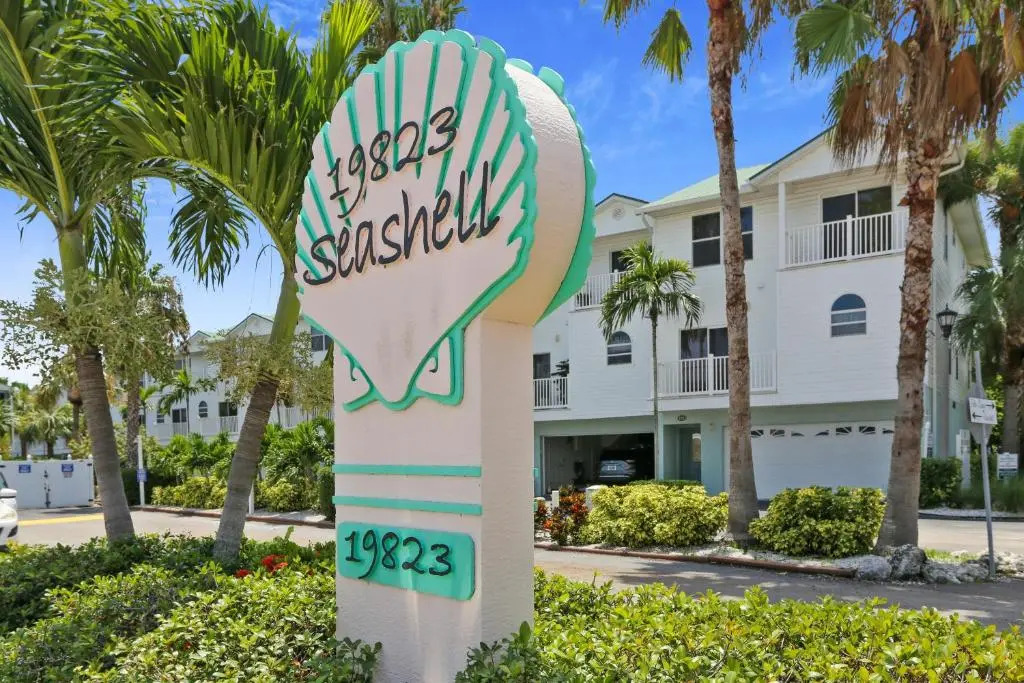 Sea Shell 24