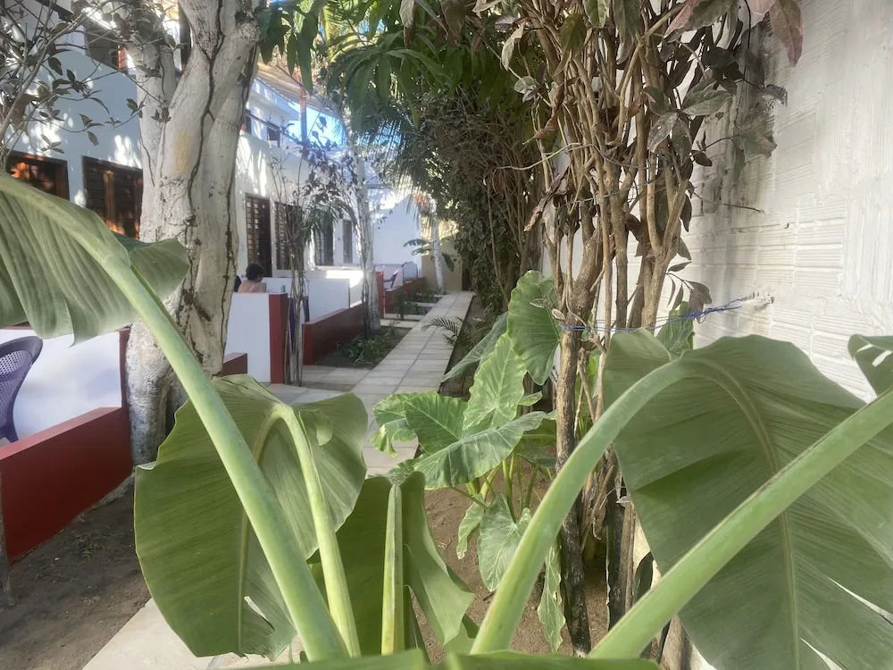 MyM Jericoacoara