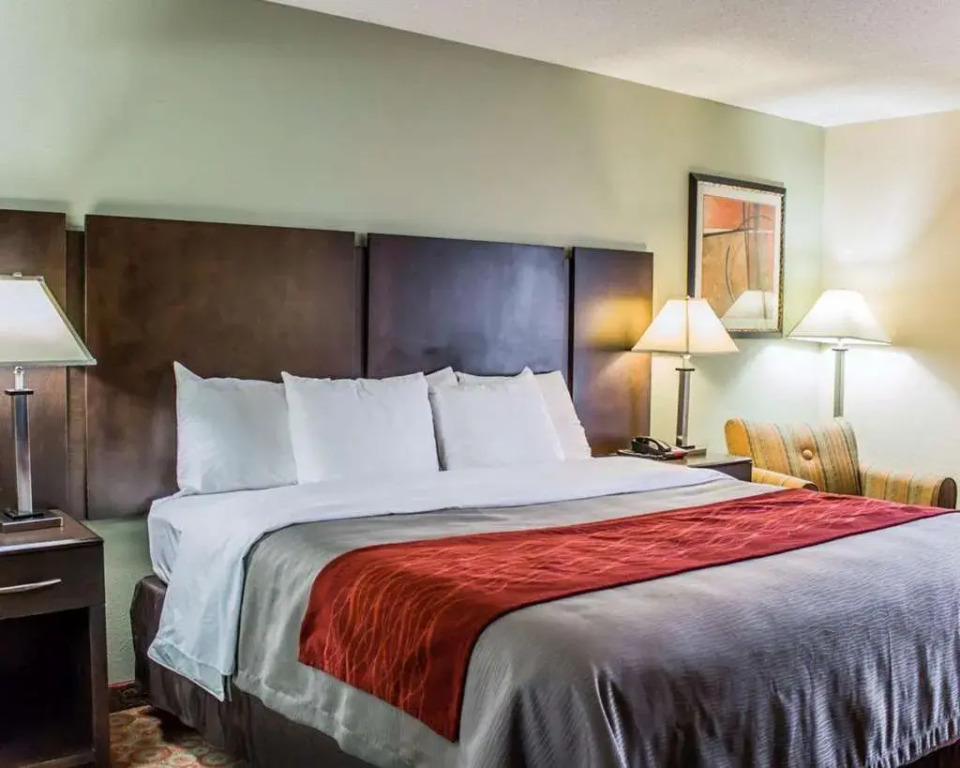 Comfort Inn Raleigh